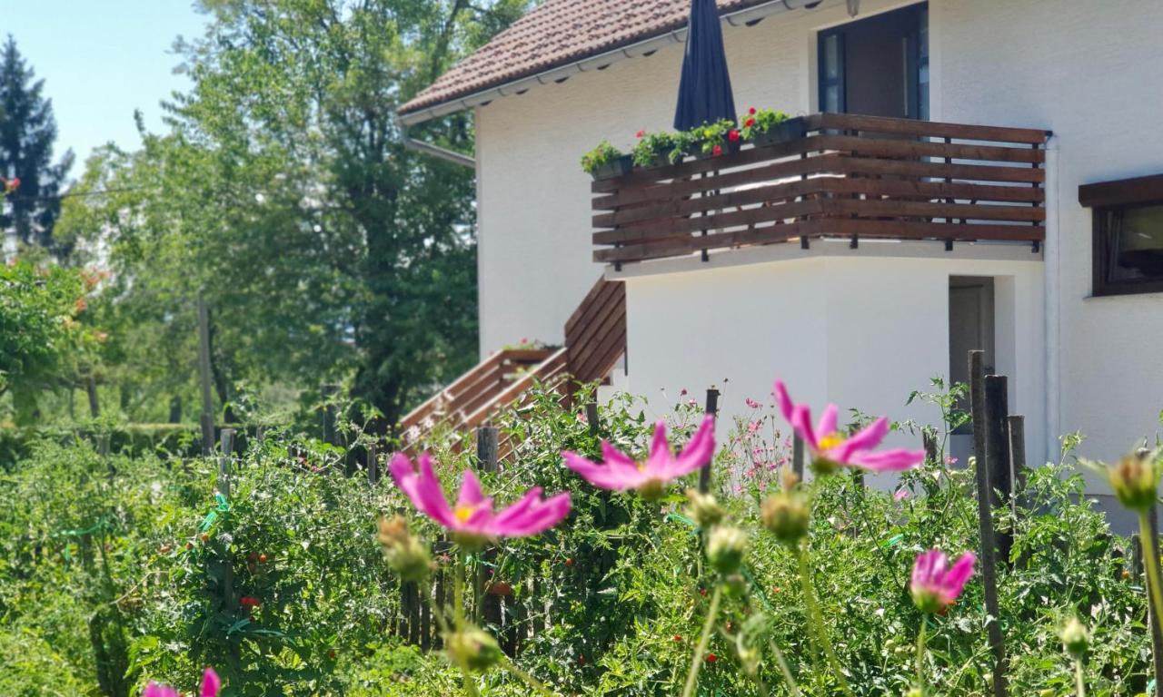 Apartment Murva Drežnik Grad Eksteriør billede
