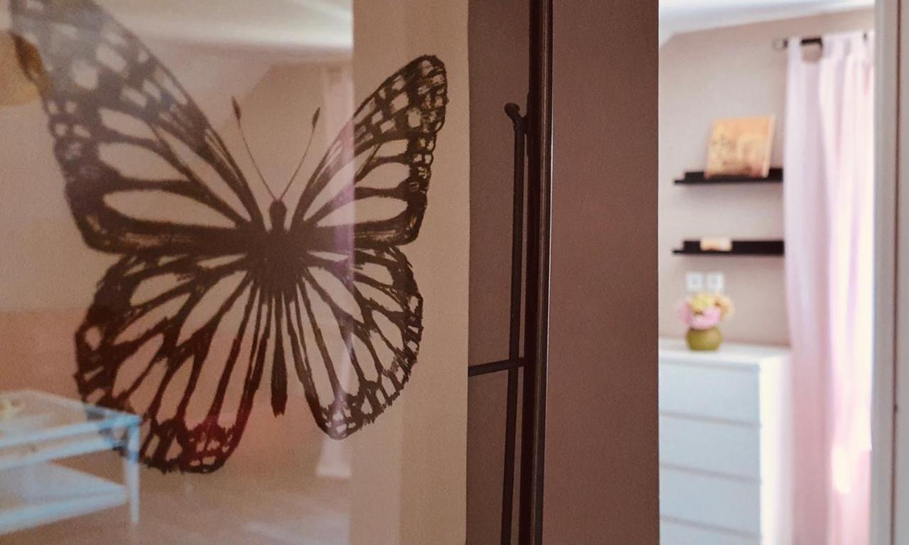 Apartment Murva Drežnik Grad Eksteriør billede