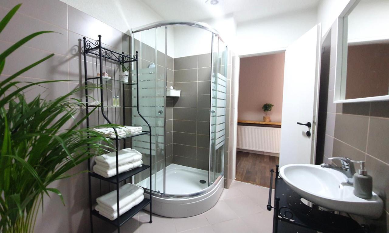 Apartment Murva Drežnik Grad Eksteriør billede