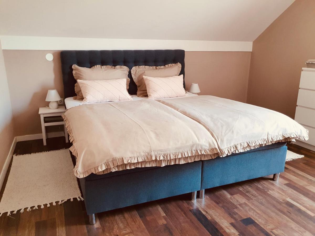 Apartment Murva Drežnik Grad Eksteriør billede