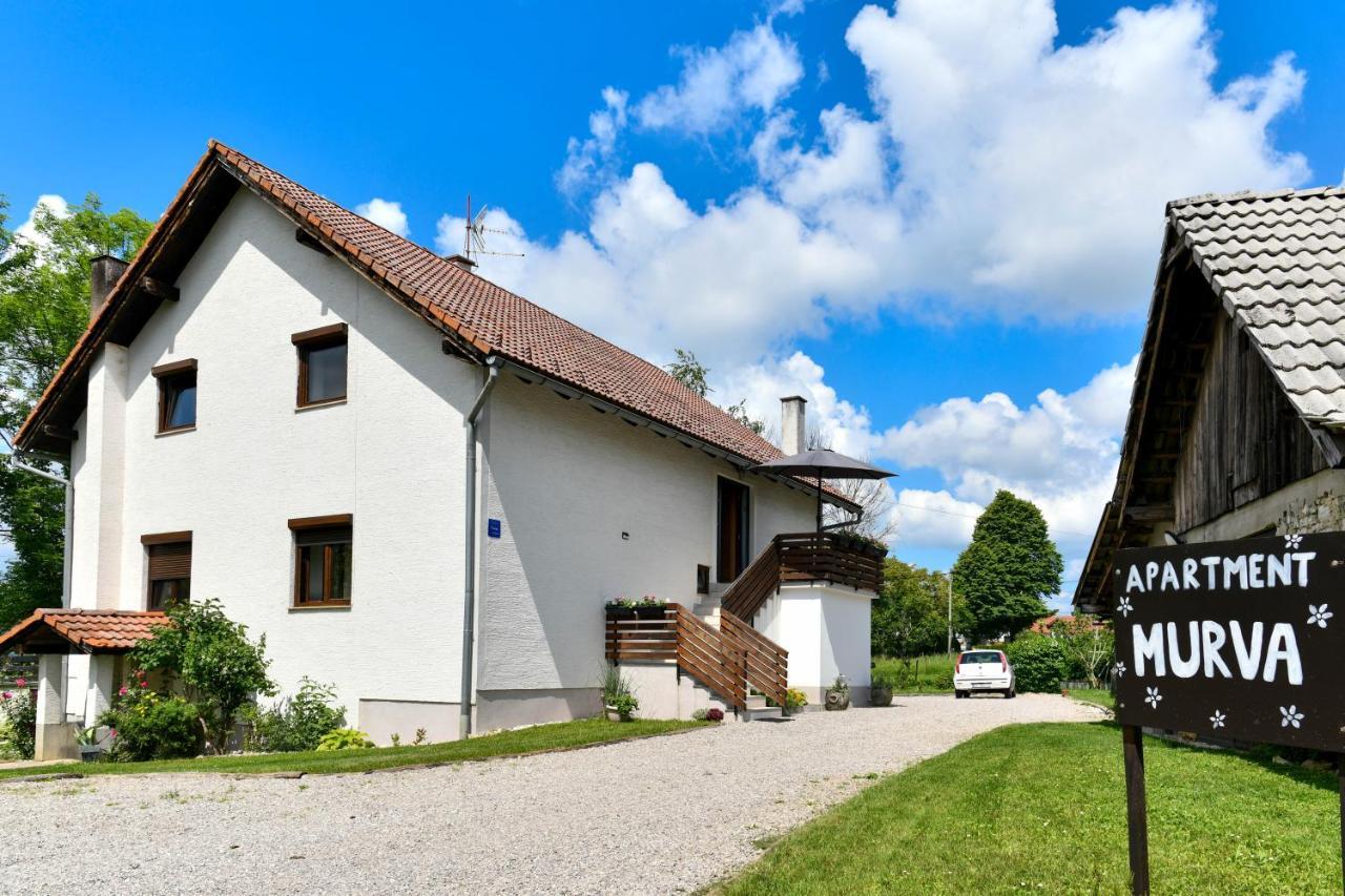 Apartment Murva Drežnik Grad Eksteriør billede