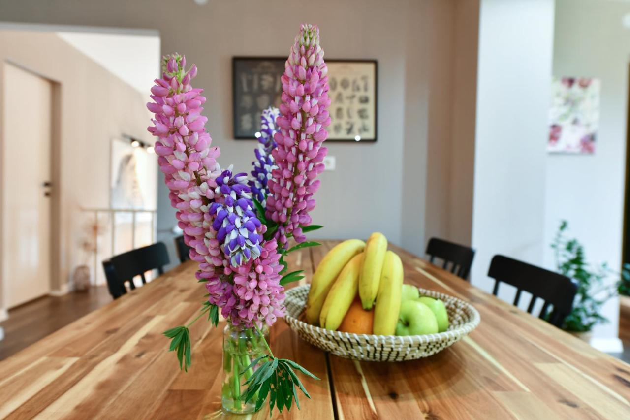 Apartment Murva Drežnik Grad Eksteriør billede